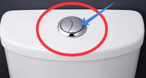 Aqueles dois botões do vaso não são decoração! Descubra como usá-los