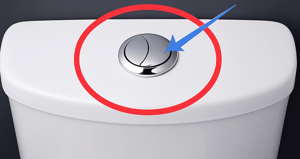 Aqueles dois botões do vaso não são decoração! Descubra como usá-los