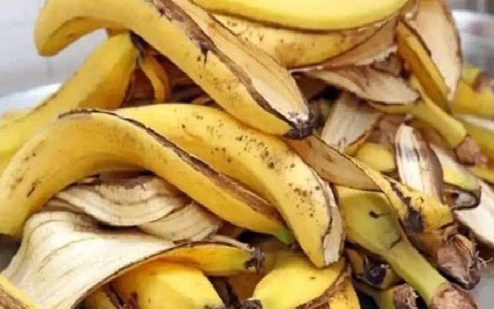 Utilidades da casca de banana