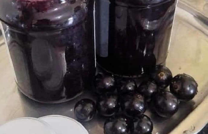 Geleia de Jabuticaba da dona Ana