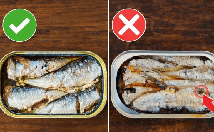 Lata de sardinhas